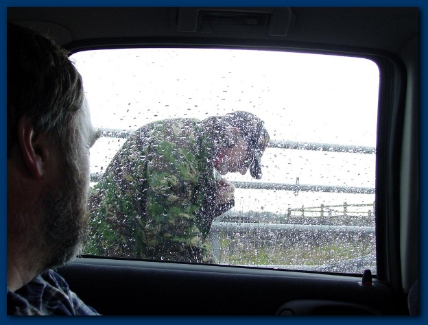 600x449 pixels (110K)